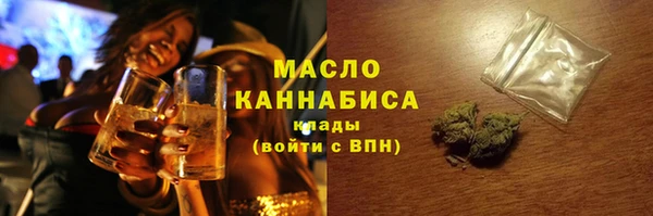 индика Гусиноозёрск