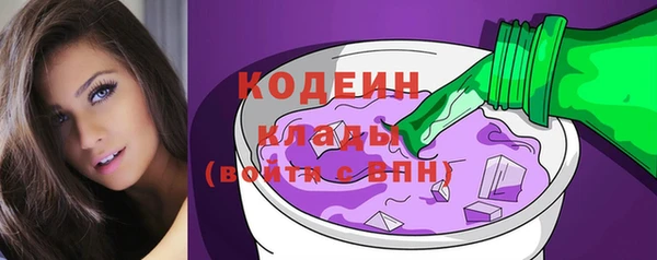индика Гусиноозёрск