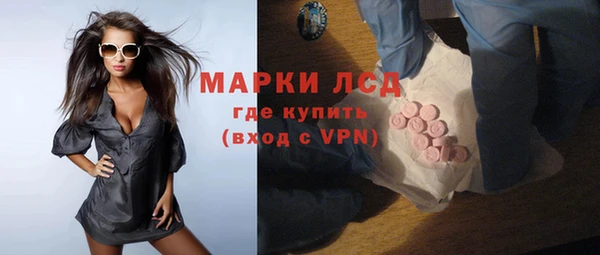индика Гусиноозёрск