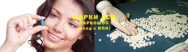 индика Гусиноозёрск