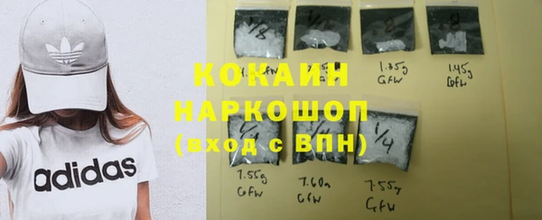 спиды Гусев