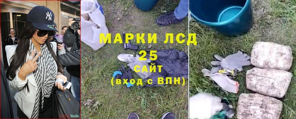 спиды Гусев