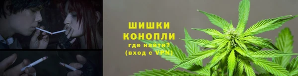 индика Гусиноозёрск