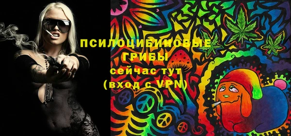 индика Гусиноозёрск