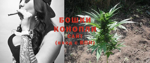 спиды Гусев