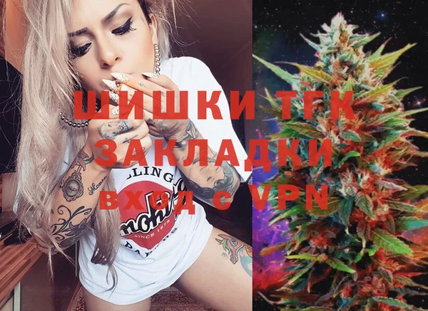 индика Гусиноозёрск