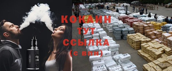 индика Гусиноозёрск