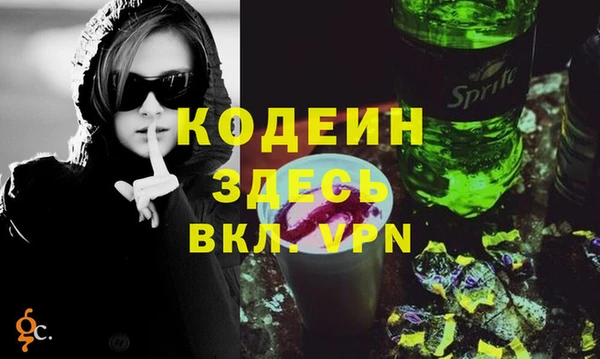 спиды Гусев