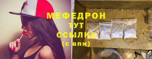 индика Гусиноозёрск